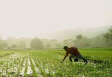 Sugarcane farmers protest outside office of Deputy Commissioner for pending cane dues