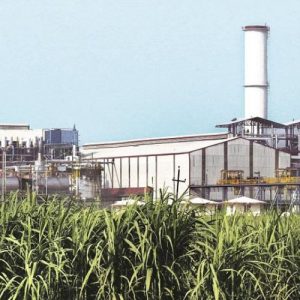 Sugar Industry News