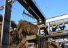 Sugar Industry News