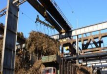 Telangana: Trident sugar mill pays pending cane dues of farmers Sugar Industry News