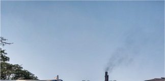Sugar Industry News
