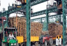 Sugar Industry News