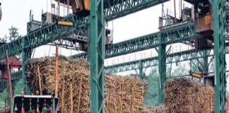 Sugar Industry News