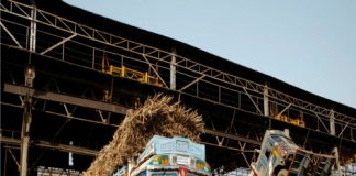 Sugar Industry News