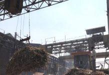 પંજાબ: ખાંડ મિલ શેરડીના ખેડૂતોને 2,144.38 લાખ રૂપિયા ચૂકવશે Sugar Industry News