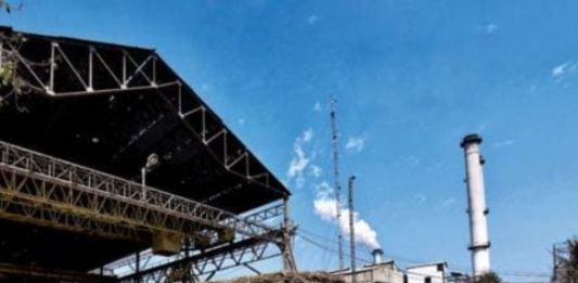 Sugar Industry News