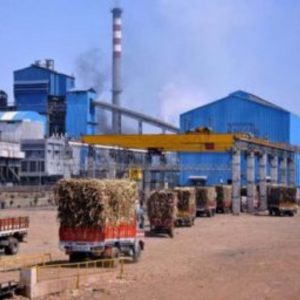 Sugar Industry News
