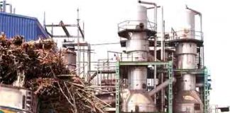 Sugar Industry News