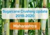 Sugarcane Crushing Update 2019-20: Maharashtra State