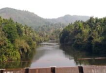 Pakistan: Irrigation experts confirm construction halted at Cholistan Canal site in Sindh