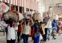 Supreme Court pulls up Maharashtra govt on plight of migrant labourers Representational Image (ANI Photo)