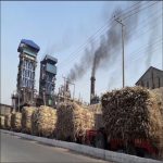 Sugar Industry News