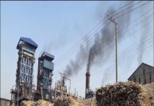 Dwarikesh Sugar expected to commence crushing on Nov 7 at Bijnor units, Nov 10 at Bareilly unit Sugar Industry News