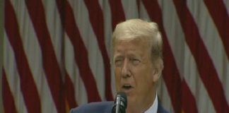 Donald Trump (Photo: File Photo)