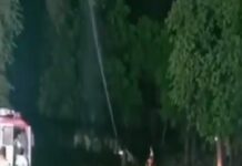 બિલાસપુર પહોંચ્યા તીડનાં ટોળા, અફસરો અને ખેડૂતોએ મોરચો સંભાળ્યો Chemical spraying was done at Nayepur to control the locust attack (Photo: ANI)