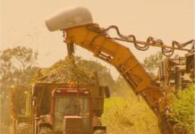 Marathwada to get help from Kolhapur for cane harvesting