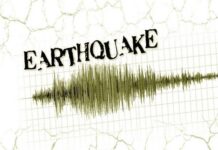 Japan records waves upto 50cm post 8.8 magnitude quake