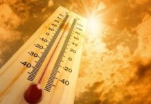 राज्यातील किनारपट्टीच्या भागात तापमानात सरासरी ४ ते ५ अंशाची वाढ: हवामान विभाग