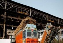 Muzaffarnagar: Two sugar mill workers killed as sugarcane-laden truck overturns Sugar Industry News