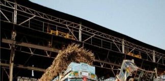 Sugar Industry News