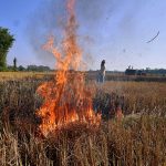 Representational image (ANI Photo)