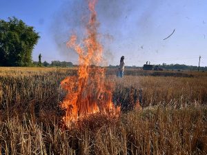 Representational image (ANI Photo)