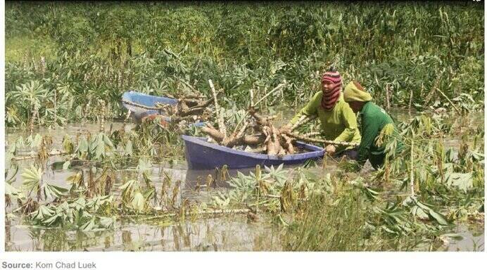 thailand floods