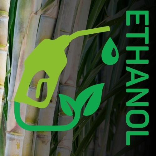 ethanol biofuel