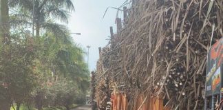 Sugar Industry News
