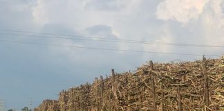 Sugar Industry News