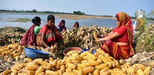 Representational image (ANI Photo)