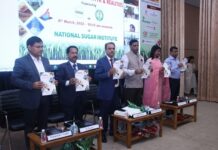 Meetha 2022: Busting myths about sugar consumption