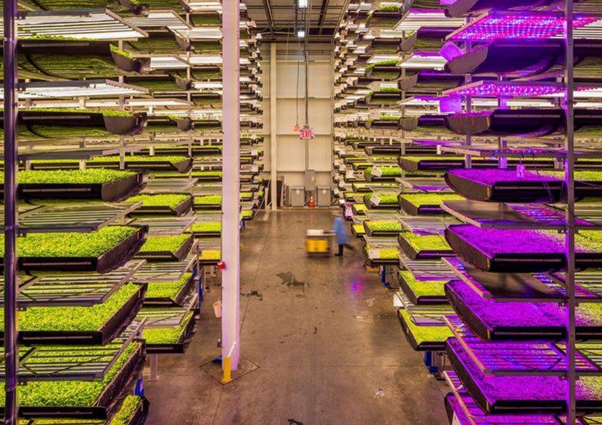 vertical farming