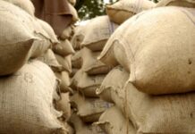 Government increases raw jute MSP for marketing season 2025-26