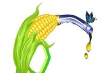 एथेनॉल उत्पादन के चलते मक्का का भाव पिछले साल के ₹1,200 प्रति क्विंटल से वर्तमान में ₹2,800 प्रति क्विंटल तक पहुंचा: मंत्री नितिन गडकरी