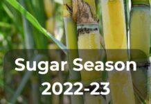 Sugar Industry News