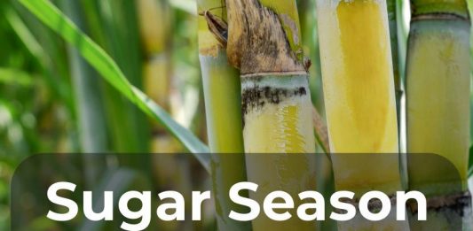 Sugar Industry News