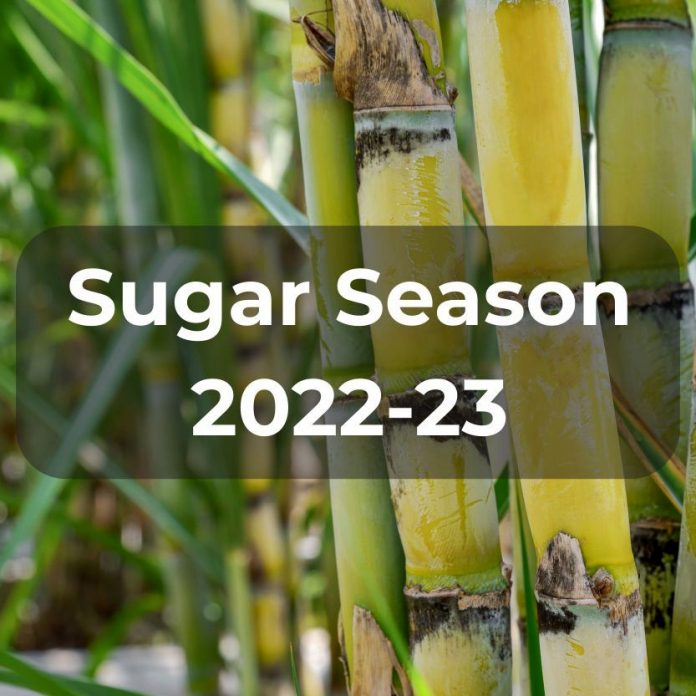 Sugar Industry News