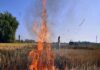 Increasing problem of stubble burning