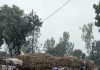 Sugar Industry News