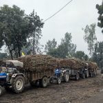 Kolhapur: New traffic rules for sugarcane transport vehicles in city, 10 pm-6 am movement allowed Sugar Industry News