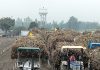 Sugar Industry News