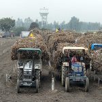 कोल्हापूर : ऊस दरासाठी संघटना आक्रमक, आंदोलन अंकुशने दत्त कारखान्याची वाहतूक रोखली Sugar Industry News