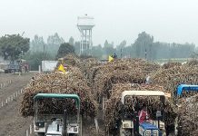 कोल्हापुर शहर में सुबह 6 बजे से रात 10 बजे तक गन्ना वाहनों पर प्रतिबंध Sugar Industry News