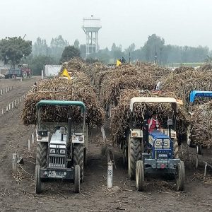 Sugar Industry News