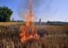 18 farmers arrested for stubble burning in Haryana’s Kaithal