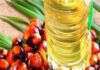 Cabinet approves National Mission on Edible Oils to achieve self reliance in oilseed production