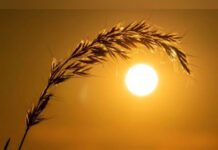 Cabinet Secretary tells states, UTs to be adequately prepared as hotter than normal summer is expected in 2023