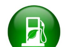 आसाम युनिट ऑक्टोबरपर्यंत बांबूपासून बायोइथेनॉल उत्पादन करेल: केंद्रीय मंत्री