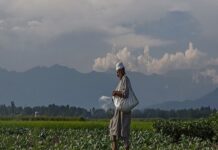 Cotton season 2023-24: Cabinet approves MSP funding of Rs.1,718.56 crore to CCI